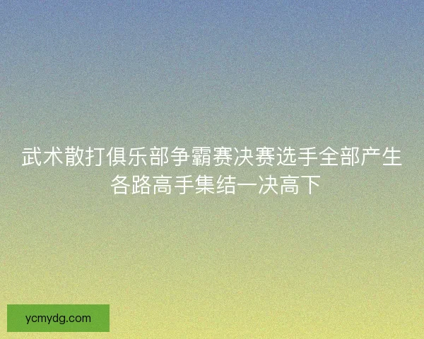 武术散打俱乐部争霸赛决赛选手全部产生 各路高手集结一决高下